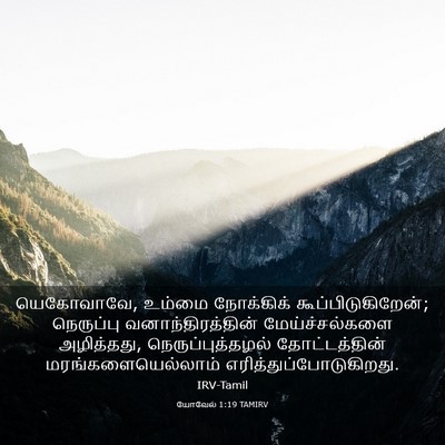 Picture 03 - யோவேல் 1:19 TAMIRV - யெகோவாவே, உம்மை - Bible Verse Picture