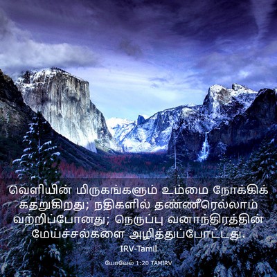 Picture 03 - யோவேல் 1:20 TAMIRV - வெளியின் - Bible Verse Picture