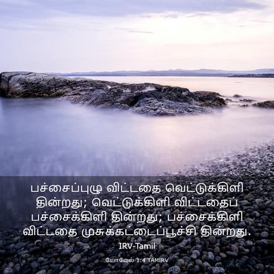Picture 03 - யோவேல் 1:4 TAMIRV - பச்சைப்புழு - Bible Verse Picture