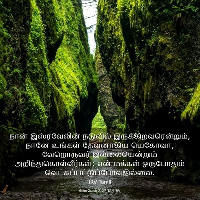 Picture 03 - யோவேல் 2:27 TAMIRV - நான் இஸ்ரவேலின் - Bible Verse Picture