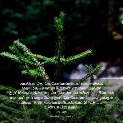Picture 03 - யோவேல் 2:32 TAMIRV - அப்பொழுது - Bible Verse Picture