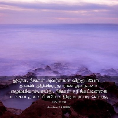 Picture 03 - யோவேல் 3:7 TAMIRV - இதோ, நீங்கள் - Bible Verse Picture