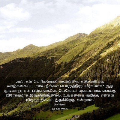 Picture 03 - ரூத் 1:13 TAMIRV - அவர்கள் - Bible Verse Picture