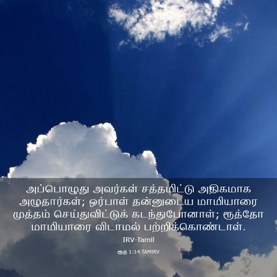 Picture 03 - ரூத் 1:14 TAMIRV - அப்பொழுது அவர்கள் - Bible Verse Picture