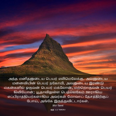 Picture 03 - ரூத் 1:2 TAMIRV - அந்த மனிதனுடைய - Bible Verse Picture