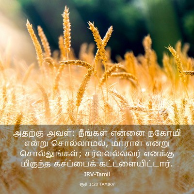 Picture 03 - ரூத் 1:20 TAMIRV - அதற்கு அவள்: - Bible Verse Picture
