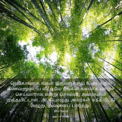 Picture 03 - ரூத் 1:9 TAMIRV - யெகோவா உங்கள் - Bible Verse Picture