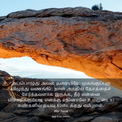Picture 03 - ரூத் 2:10 TAMIRV - அப்பொழுது அவள் - Bible Verse Picture