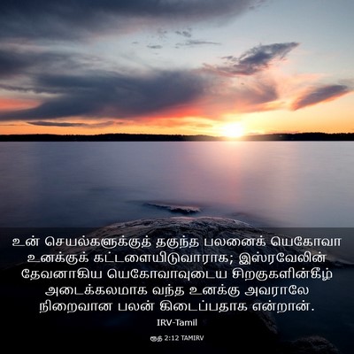 Picture 03 - ரூத் 2:12 TAMIRV - உன் - Bible Verse Picture