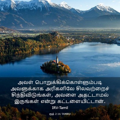 Picture 03 - ரூத் 2:16 TAMIRV - அவள் - Bible Verse Picture