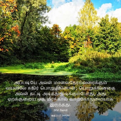 Picture 03 - ரூத் 2:17 TAMIRV - அப்படியே அவள் - Bible Verse Picture