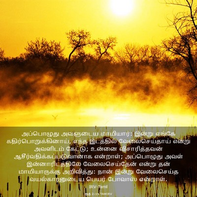Picture 03 - ரூத் 2:19 TAMIRV - அப்பொழுது அவளுடைய - Bible Verse Picture