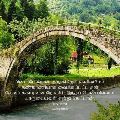 Picture 03 - ரூத் 2:5 TAMIRV - பின்பு போவாஸ் - Bible Verse Picture