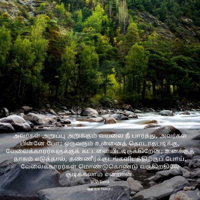 Picture 03 - ரூத் 2:9 TAMIRV - அவர்கள் அறுப்பு - Bible Verse Picture