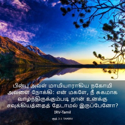 Picture 03 - ரூத் 3:1 TAMIRV - பின்பு அவள் - Bible Verse Picture