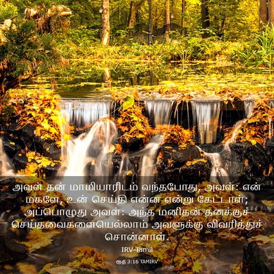 Picture 03 - ரூத் 3:16 TAMIRV - அவள் தன் - Bible Verse Picture
