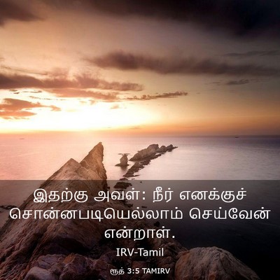 Picture 03 - ரூத் 3:5 TAMIRV - இதற்கு அவள்: நீர் - Bible Verse Picture