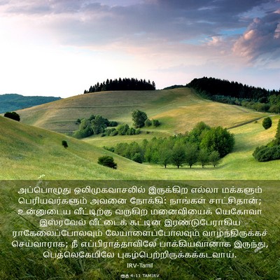 Picture 03 - ரூத் 4:11 TAMIRV - அப்பொழுது - Bible Verse Picture