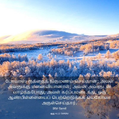 Picture 03 - ரூத் 4:13 TAMIRV - போவாஸ் ரூத்தைத் - Bible Verse Picture