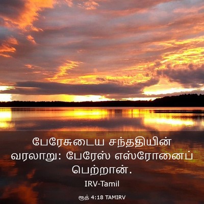 Picture 03 - ரூத் 4:18 TAMIRV - பேரேசுடைய - Bible Verse Picture