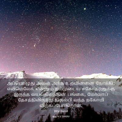 Picture 03 - ரூத் 4:3 TAMIRV - அப்பொழுது அவன் - Bible Verse Picture