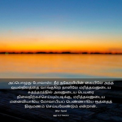 Picture 03 - ரூத் 4:5 TAMIRV - அப்பொழுது போவாஸ்: - Bible Verse Picture