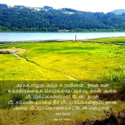 Picture 03 - ரூத் 4:6 TAMIRV - அப்பொழுது அந்த - Bible Verse Picture