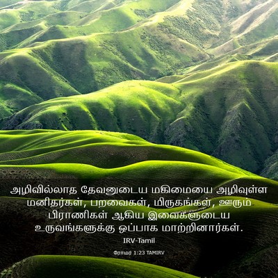 Picture 03 - ரோமர் 1:23 TAMIRV - அழிவில்லாத - Bible Verse Picture