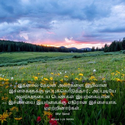 Picture 03 - ரோமர் 1:26 TAMIRV - இதனால் தேவன் - Bible Verse Picture
