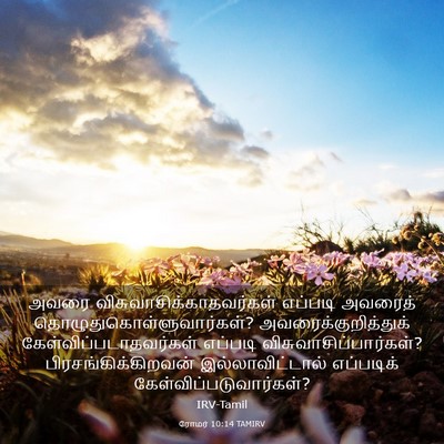 Picture 03 - ரோமர் 10:14 TAMIRV - அவரை - Bible Verse Picture