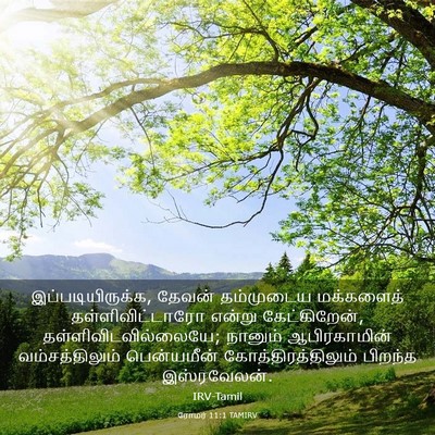 Picture 03 - ரோமர் 11:1 TAMIRV - இப்படியிருக்க, - Bible Verse Picture