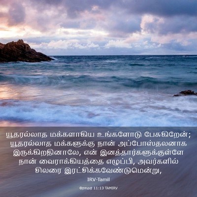 Picture 03 - ரோமர் 11:13 TAMIRV - யூதரல்லாத - Bible Verse Picture
