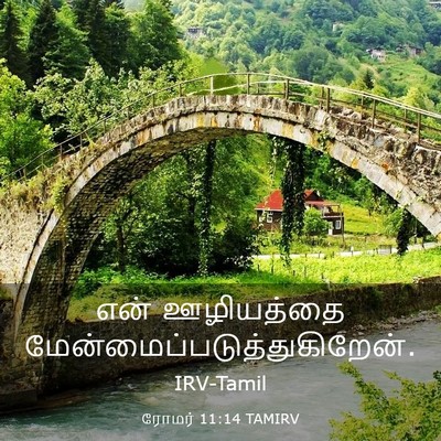 Picture 03 - ரோமர் 11:14 TAMIRV - என் ஊழியத்தை - Bible Verse Picture