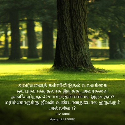 Picture 03 - ரோமர் 11:15 TAMIRV - அவர்களைத் - Bible Verse Picture