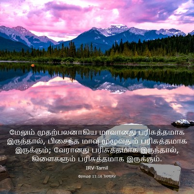Picture 03 - ரோமர் 11:16 TAMIRV - மேலும் - Bible Verse Picture