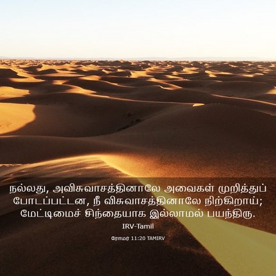 Picture 03 - ரோமர் 11:20 TAMIRV - நல்லது, - Bible Verse Picture