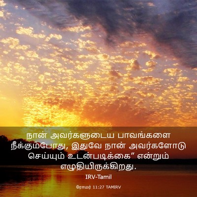 Picture 03 - ரோமர் 11:27 TAMIRV - நான் அவர்களுடைய - Bible Verse Picture