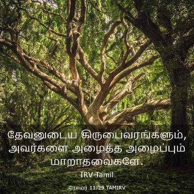 Picture 03 - ரோமர் 11:29 TAMIRV - தேவனுடைய - Bible Verse Picture
