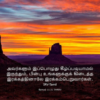 Picture 03 - ரோமர் 11:31 TAMIRV - அவர்களும் - Bible Verse Picture