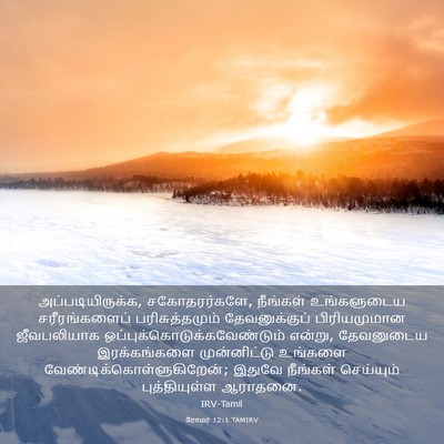 Picture 03 - ரோமர் 12:1 TAMIRV - அப்படியிருக்க, - Bible Verse Picture