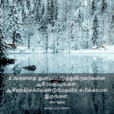 Picture 03 - ரோமர் 12:14 TAMIRV - உங்களைத் - Bible Verse Picture