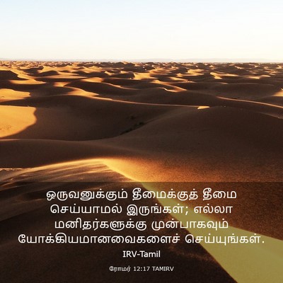 Picture 03 - ரோமர் 12:17 TAMIRV - ஒருவனுக்கும் - Bible Verse Picture