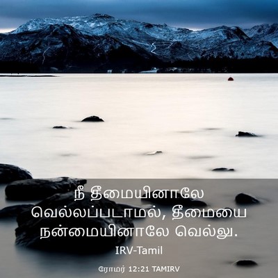 Picture 03 - ரோமர் 12:21 TAMIRV - நீ தீமையினாலே - Bible Verse Picture