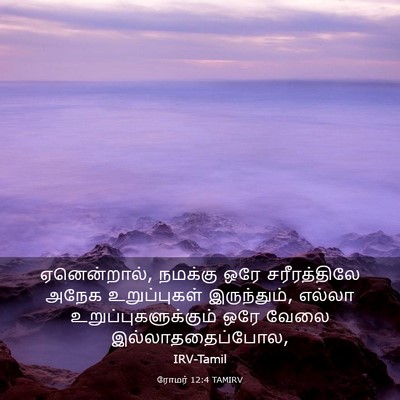Picture 03 - ரோமர் 12:4 TAMIRV - ஏனென்றால், நமக்கு - Bible Verse Picture