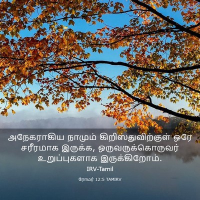 Picture 03 - ரோமர் 12:5 TAMIRV - அநேகராகிய நாமும் - Bible Verse Picture