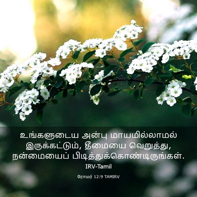 Picture 03 - ரோமர் 12:9 TAMIRV - உங்களுடைய அன்பு - Bible Verse Picture