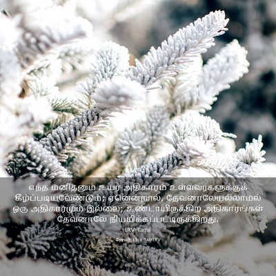 Picture 03 - ரோமர் 13:1 TAMIRV - எந்த மனிதனும் - Bible Verse Picture