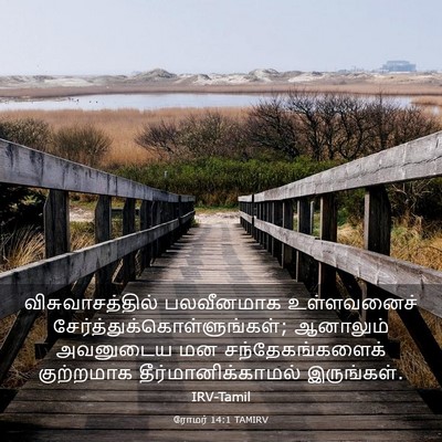 Picture 03 - ரோமர் 14:1 TAMIRV - விசுவாசத்தில் - Bible Verse Picture