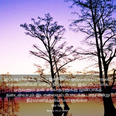 Picture 03 - ரோமர் 14:13 TAMIRV - இப்படியிருக்க, - Bible Verse Picture