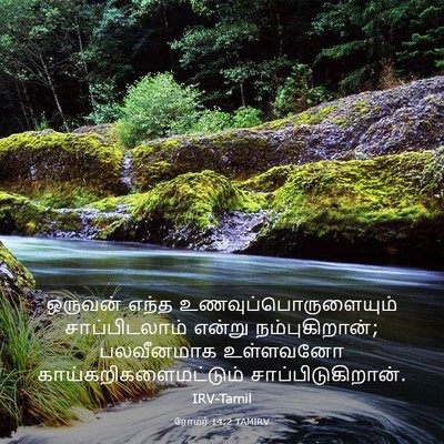 Picture 03 - ரோமர் 14:2 TAMIRV - ஒருவன் எந்த - Bible Verse Picture